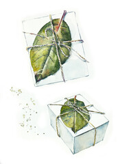 Gift box with leaf. Watercolor hand drawing illustration.