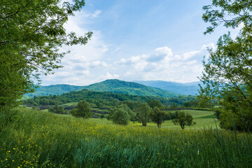 Obraz premium Idyllic rural view of the pretty meadow and healthy livestock on sunny spring day, in the beautiful surroundings of the Malo Bonjince, Serbia