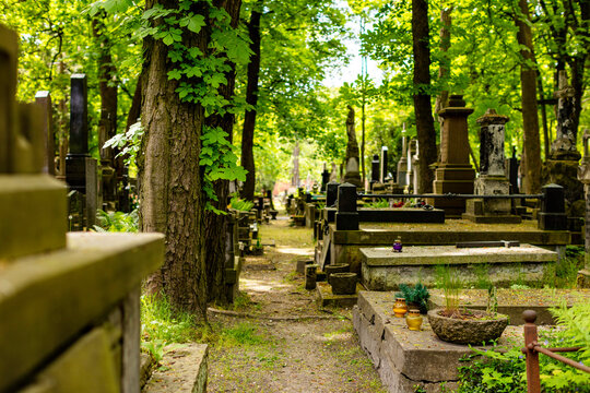 Zabytkowy cmentarz w centrum miasta w Warszawie. Zielone drzewa, pomniki, krzyże i rzeźby. Stare Powązki.