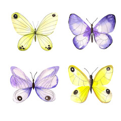 Watercolor butterflies. Set of four purple and yellow butterflies. Elements for design