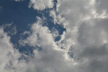 Fototapeta premium Nature