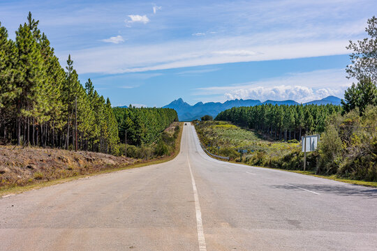 Road, Trees, Mountains - Tsitsikamma - Southern Cape -South Africa