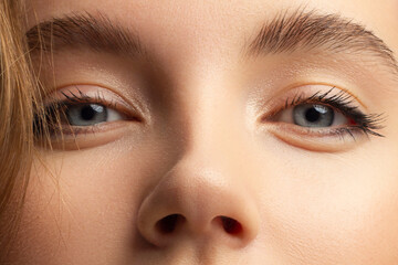 Beautiful macro shot of female eye with classic smoky makeup. Perfect shape of eyebrows, brown...
