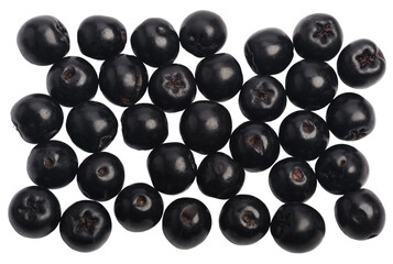 Several black officinal Сhokeberry berries isolated on a white background