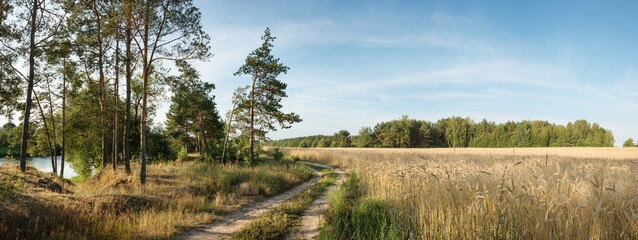The nature of Belarus - a calm summer landscape on the banks of the Berezina River