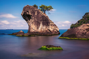 wooded rock. rock view with trees in the sea in the province of bartin