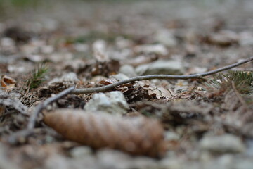 Nature