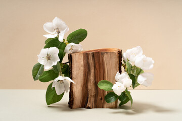 Composition empty podium material tree stone dry flowers. Product presentation. Background beige. Beautiful background from natural materials.