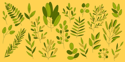 Delicate sprig leaves for design. Vector set elegant design elements in pastel colors for printing