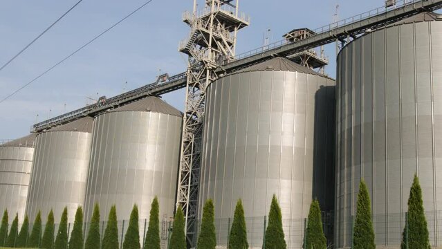 Large modern plant for storage and processing of grain crops. View of granary on sunny day. Big iron barrels of grain. Silver silos on agro manufacturing plant for processing and drying.