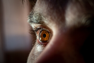 Very intense look of brown eye of man. Macro shot of man's bronze eye with pupil details. Close-up portrait of a young man with focus on eyes and pores on face.
