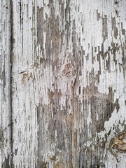 Old vintage gray natural wood or wooden texture background or conceptual
