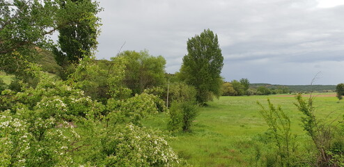 grass and sky