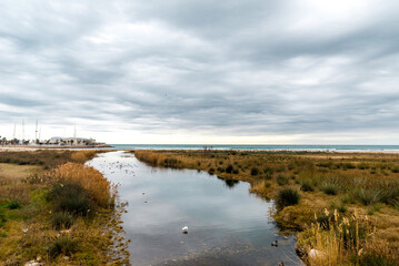 landscape overlooking the seashore and the yacht club