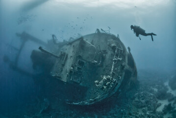 Obraz na płótnie Canvas Diver exploring the shipwreck Cedar Pride in Aqaba