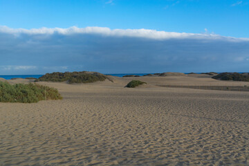 Wind sculpture - Sand dunes, Maspalomas, Cran Canaria - obrazy, fototapety, plakaty