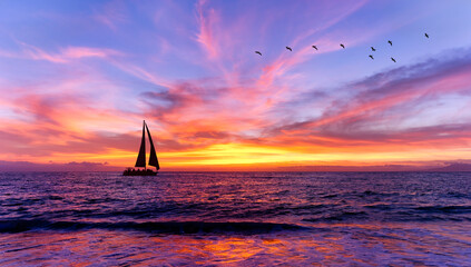 Sunset Sailboat Ocean Landscape Sailing Birds