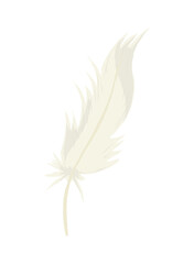 white feather icon
