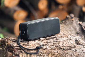 Portable wireless speaker for listening to music on a log