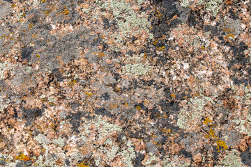 Texture of Limestone Soft Rock for Geological Activity near Laramie Wyoming Desert.