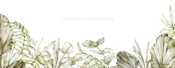 Border of tropical leaves: palm, eucalyptus and others. Illustration on a white background, hand drawn in pencil. Exotic background for interior design, invitations, cards, packaging design, covers