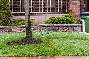 Freshly laid sod being "watered in" in front of an older residental building with a simple hose sprinkler. Shot in Toronto in spring.
