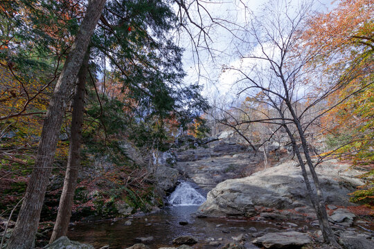 Cunningham Falls State Park