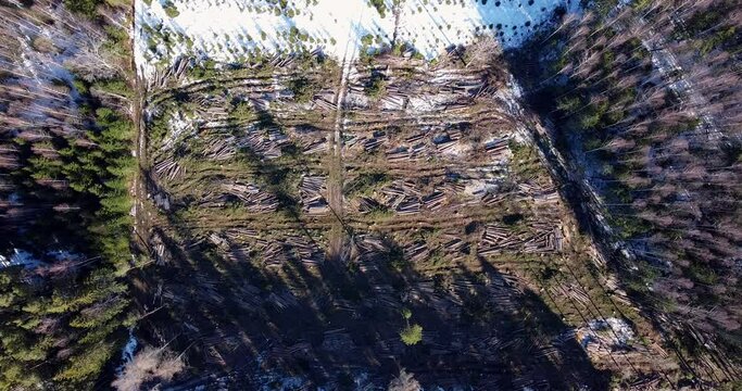 Top down view over deforestation. Aerial drone view of forest destroyed. Winter landscape. Deforested or logged area. Cutting down pine trees. A hole in the woods. Destruction of nature and ecosystem