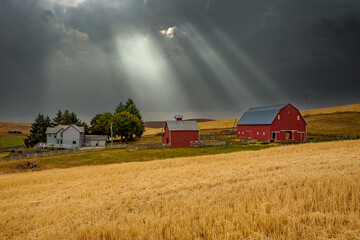 A farm with a red barnwith sun rays and a dark sky in the fall season in the palouse wheat country...