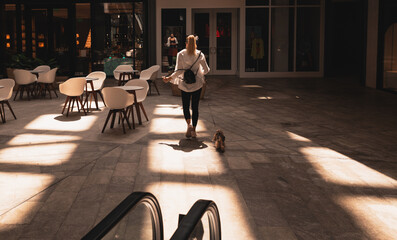 person sitting on a chair walking center commerce shopping  dog miami Brickell  