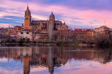Obraz na płótnie Canvas Salamanca Skyline view with the Cathedral, Spain
