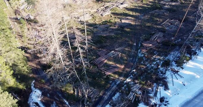 Aerial footage over deforestation. Forestry and lumber industry. Cutting wood in the forest. Deforestation for wood. Destruction of nature by people. Ecosystem. Ecology. Destroying our home planet. 