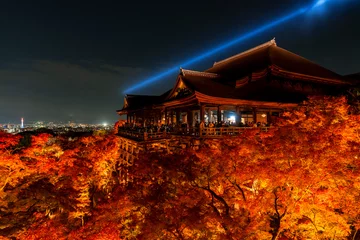 Foto op Aluminium [京都府]清水寺舞台と紅葉の風景（清水の舞台で知られる京都屈指の観光名所） © 宏樹 林