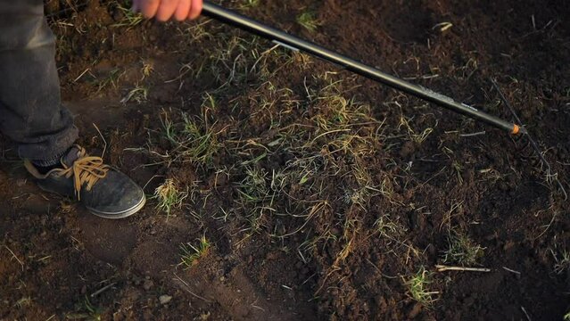 Cleaning up the grass with a rake. Aerating and scarifying the lawn in the garden. Improving the quality of the lawn by removing old grass