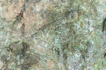 Green rocky cave wall texture, natural rough stone texture