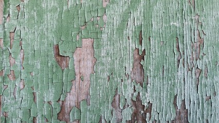 Old green paint is peeling off the board