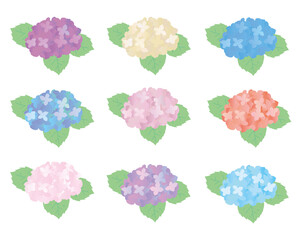 9色のアジサイの花のセット