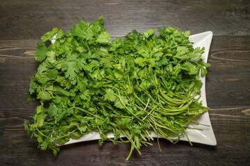 A big bunch of fresh cilantro on a white platter.