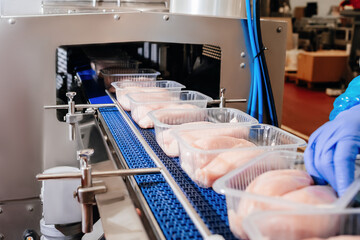 Modern poultry processing plant.Conveyor Belt Food.Automated production line in modern food factory.A modern plant.Factory production food from meat.Production line with packaging and cutting of meat.