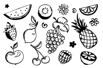 Fruits set of vector illustrations. Summer collection of fruits and berries outline illustration. Doodles fruits grape, raspberry, strawberry, lemon, kiwi, apple, pineapple, orange, citrus, pineapple