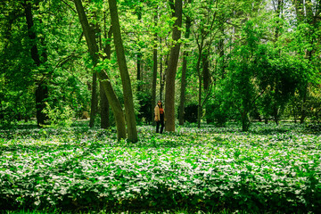 chica dando un paseo por un bosque virgen en el amazonas