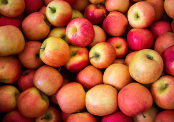 Full scren of red apples background. Many organic fresh apple, full frame shot