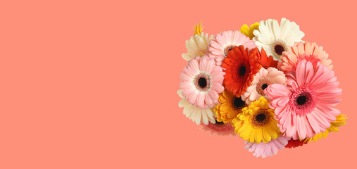 Bouquet with beautiful gerbera flowers on pink background, space for text. Banner design