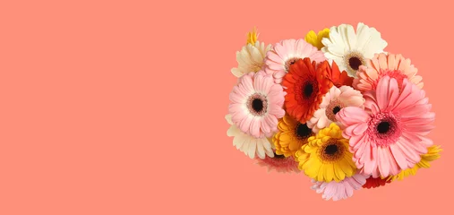 Deurstickers Bouquet with beautiful gerbera flowers on pink background, space for text. Banner design © New Africa