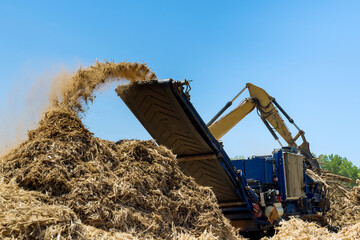 Work conveyor of an industrial wood shredder producing wood chips from roots in shredding machine...