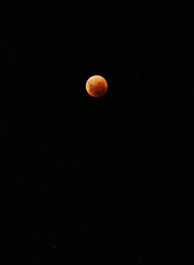 blood moon eclipse