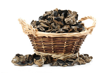 black fungus on white background 