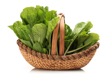 Chinese cabbage on white background