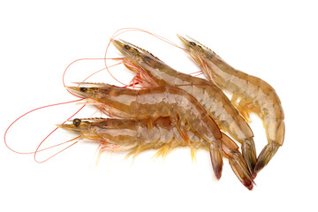 Raw shrimp isolated on white background