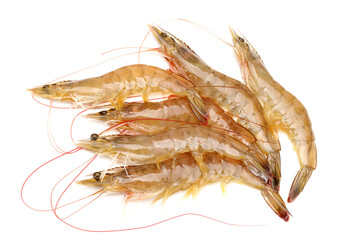 Raw shrimp isolated on white background